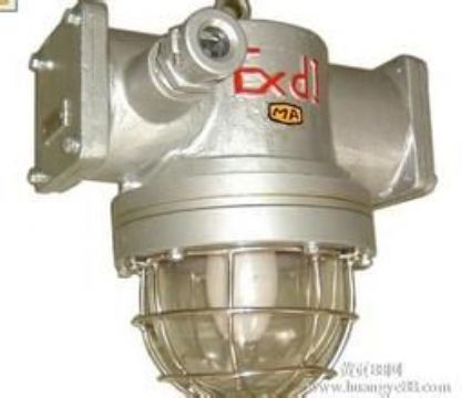 點擊查看詳細信息<br>標題：DGC175/127礦用隔爆型投光燈 閱讀次數：1945