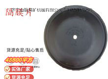 點(diǎn)擊查看詳細(xì)信息<br>標(biāo)題：氣動(dòng)隔膜泵配件-隔膜片 閱讀次數(shù)：310