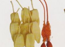 點(diǎn)擊查看詳細(xì)信息<br>標(biāo)題：取氣樣球膽 閱讀次數(shù)：262